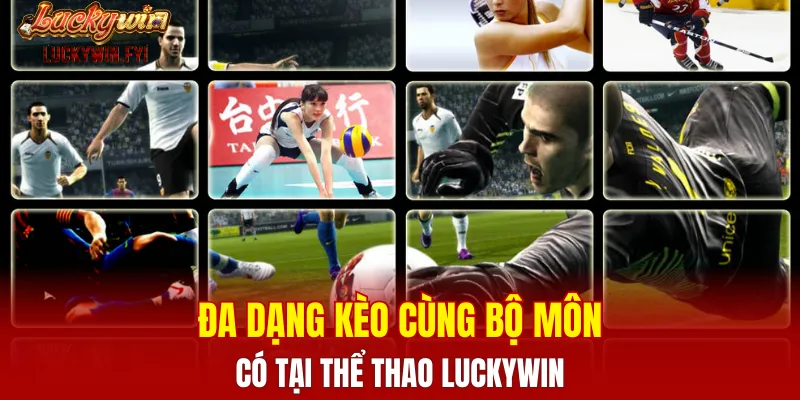 Đa dạng kèo thể thao cùng bộ môn có tại LUCKYWIN