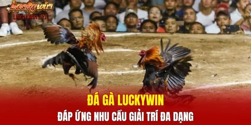 Đá gà LUCKYWIN đáp ứng nhu cầu giải trí đa dạng