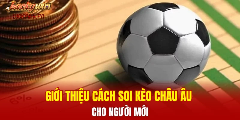 Giới thiệu cách soi kèo châu Âu cho người mới