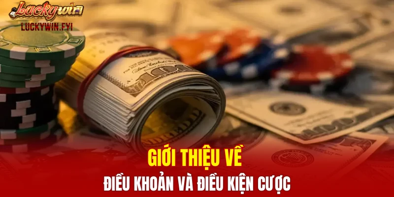 Giới thiệu về điều khoản và điều kiện cược