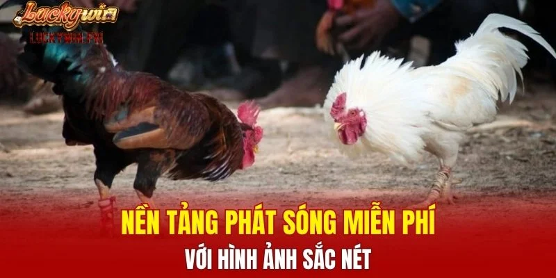 Nền tảng phát sóng miễn phí với hình ảnh sắc nét