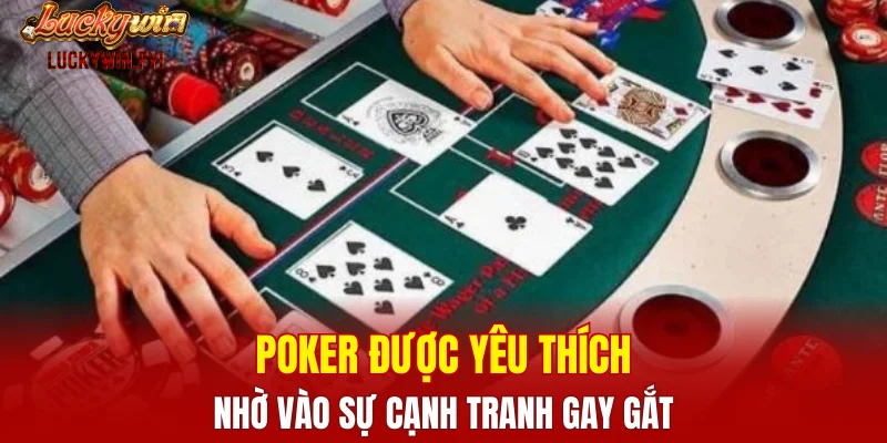 Poker được yêu thích nhờ vào sự cạnh tranh gay gắt