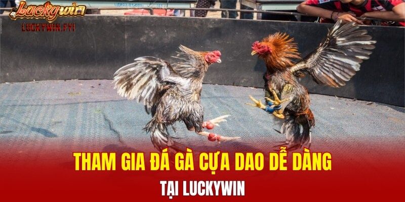 Tham gia đá gà cựa dao dễ dàng tại LUCKYWIN